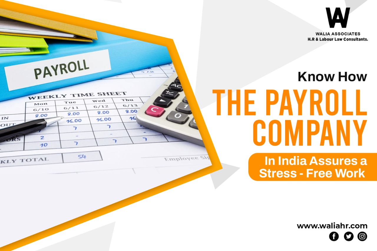 HR consultant in amritsar Labour Law consultant in amritsar PF ESI consultant in amritsar Payroll consultant in amritsar ESI consultant in amritsar Contractor license in amritsar Labour license in amritsar Factory license in amritsar registration under Shops and commercial establishment act in amritsar